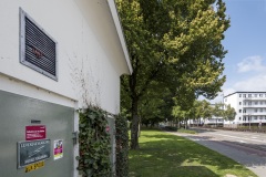 Dan Witz op locaties in Heerlen, Murals, Stichting Streetart Heerlen