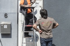 Dan Witz op locaties in Heerlen, Murals, Stichting Streetart Heerlen