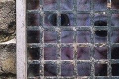 2017-08-Dan-Witz-025-header