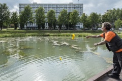 Dan Witz op locaties in Heerlen, Murals, Stichting Streetart Heerlen
