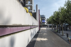 Dan Witz op locaties in Heerlen, Murals, Stichting Streetart Heerlen