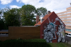 Claudio-Ethos_2_Laanderstraat_Transition-in-color-2015