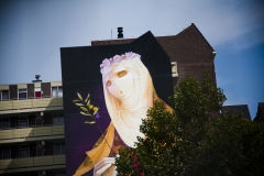 Inti-Heerlen-Murals11