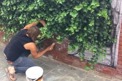 Levalet-Fotos-5