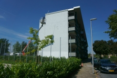 millo1