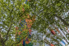 Murals Heerlen XXL'19  Morgan BLAIR