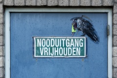 2017-09-Willemstraat-Spoorwegovergang-Arcus-Pablo-Delgado-017