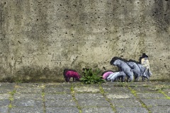 23017-09-Schouwburgplein-Noord-plantenbak-Pablo-Delgado-025
